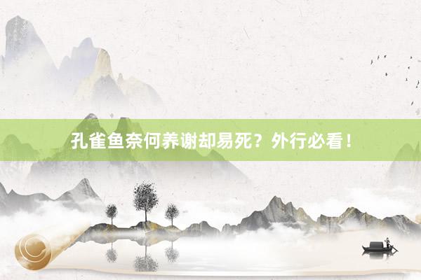 孔雀鱼奈何养谢却易死？外行必看！